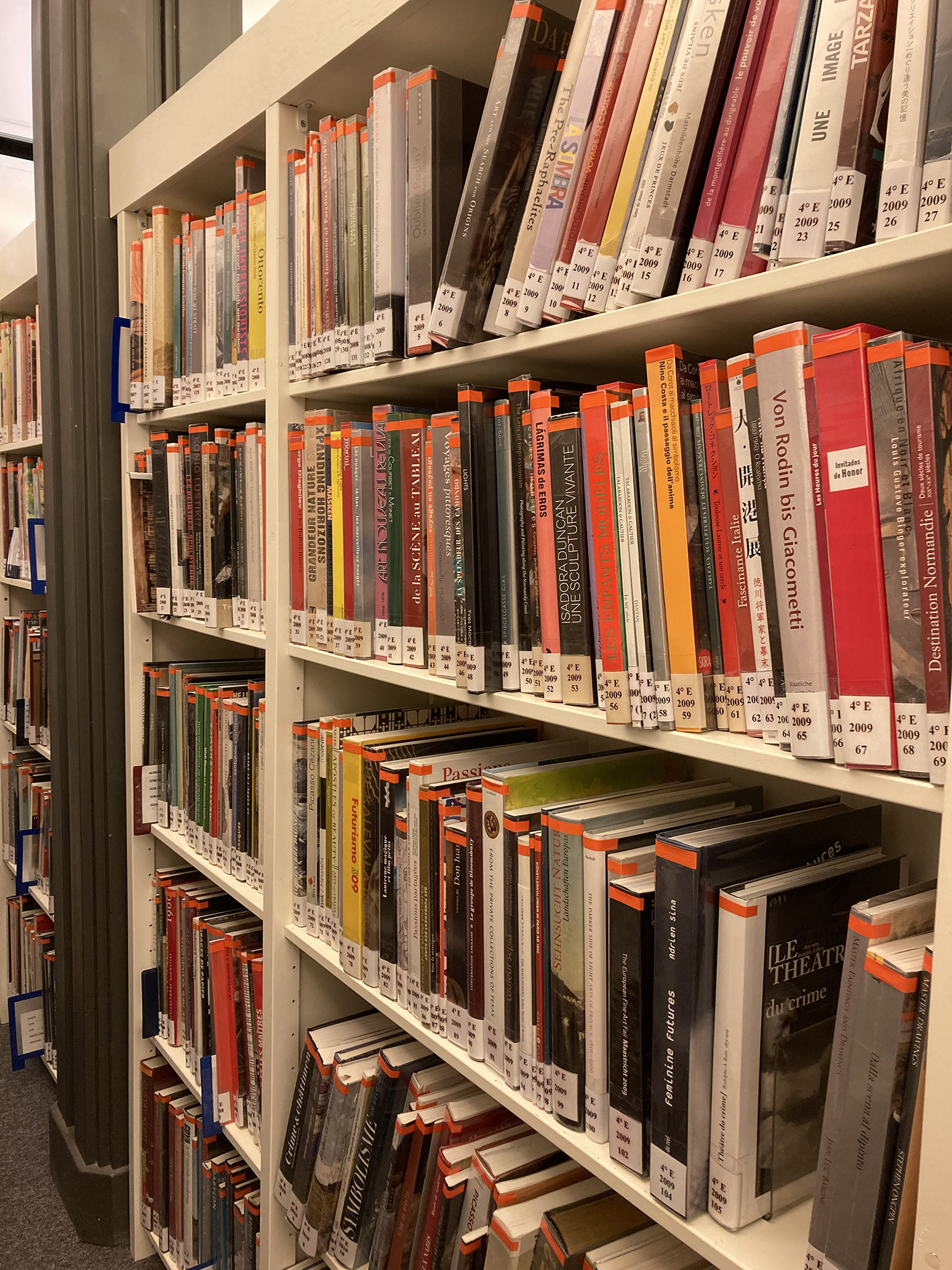 Chantier des collections de la bibliothèque du musée d’Orsay
