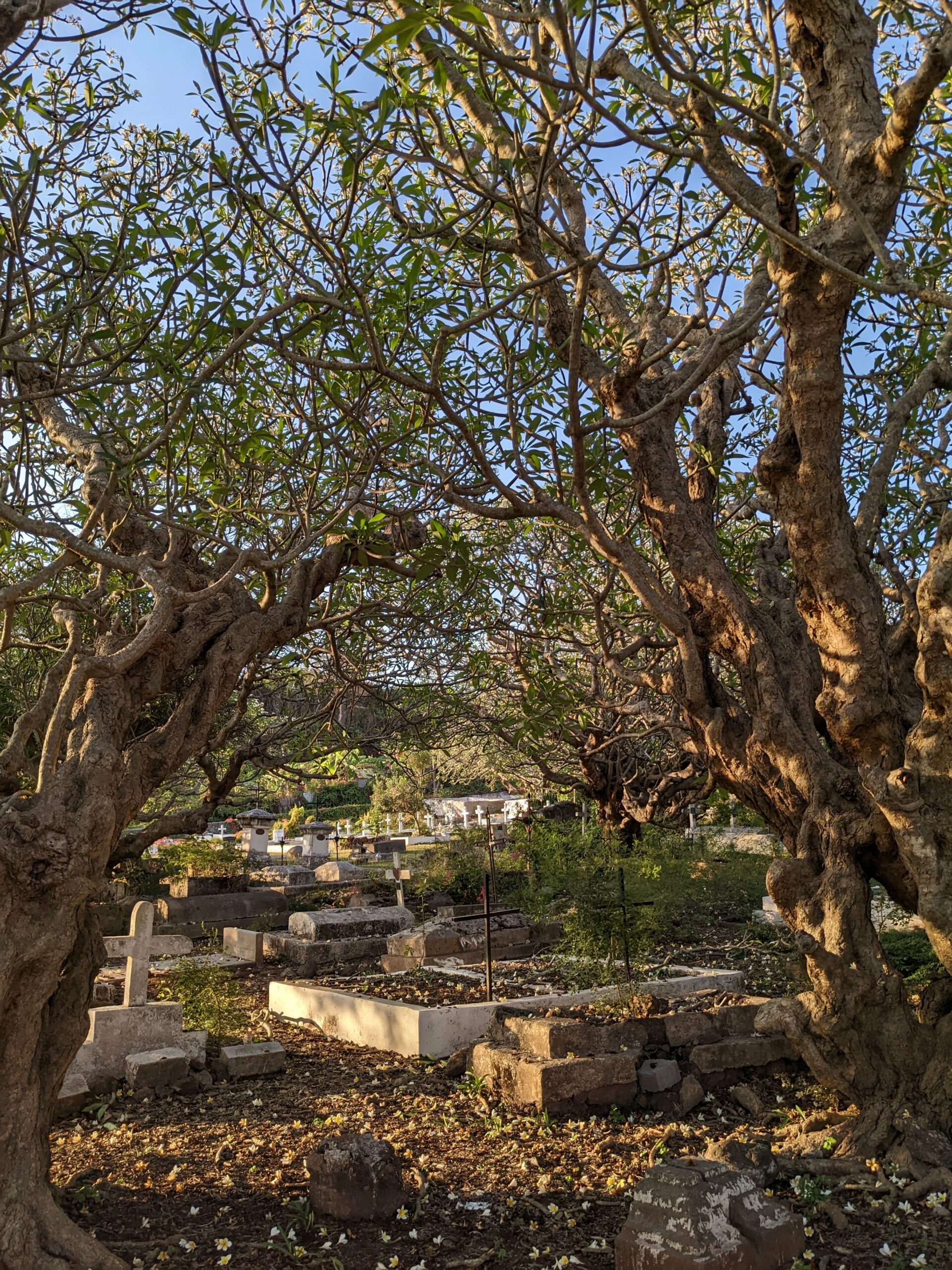 Étude historique du cimetière chrétien de Petite-Terre, Dzaoudzi-Labattoir (Mayotte)