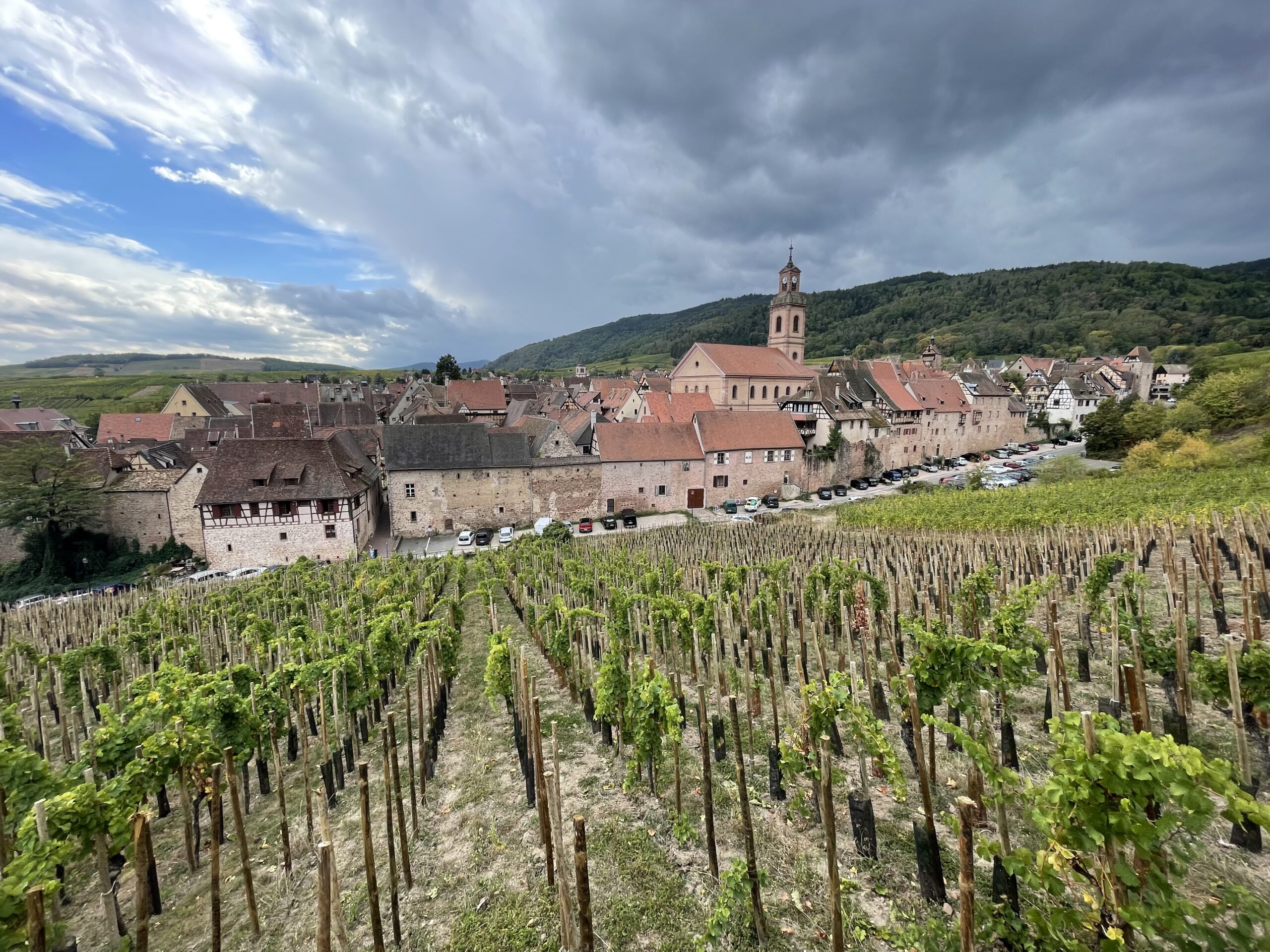 Étude de classement du Site patrimonial remarquable et définition d’un périmètre délimité des abords, Riquewihr (Haut-Rhin)